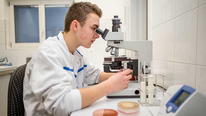 Ein Milchtechnologe sitzt im Labor vor einem Mikroskop