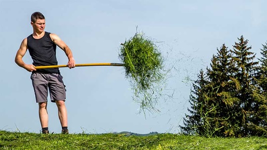 Ein Landwirt hebt mit einer Gabel gemähtes Gras auf der Weide hoch