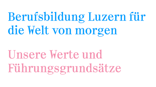 Werte und Führungsgrundsätze der Dienststelle Berufs- und Weiterbildung
