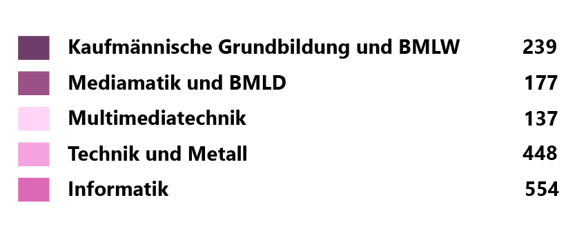 Diagrammbeschriftung BBZW Sursee