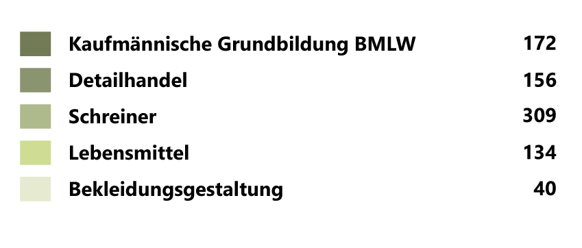 Diagrammbeschriftung BBZW Willisau