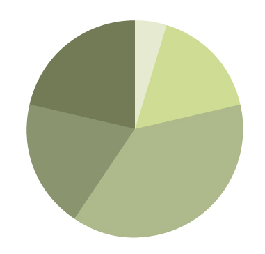 Kreisdiagramm BBZW Willisau