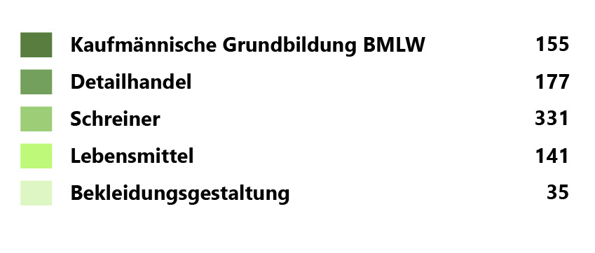 Diagrammbeschriftung BBZW Willisau