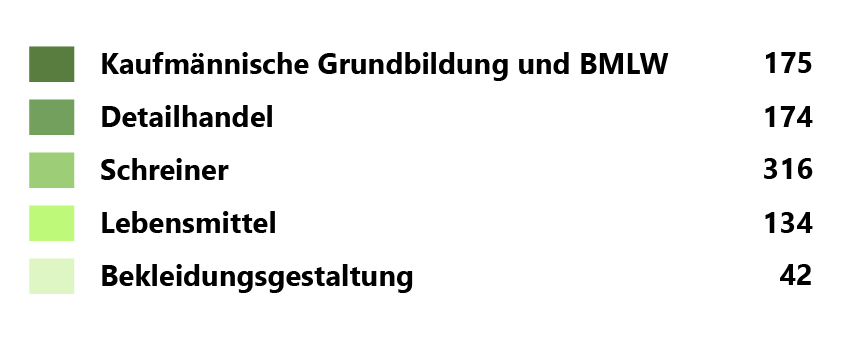 Diagrammbeschriftung BBZW Willisau
